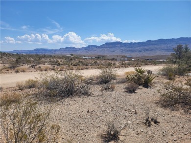 Lake Mead Lot For Sale in Meadview Arizona