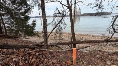 LAKE FRONT DEEP WATER. Beautiful Land and View! Over 200' DEEP - photo 8