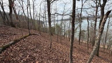 LAKE FRONT DEEP WATER. Beautiful Land and View! Over 200' DEEP - photo 9