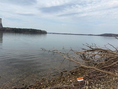 Have you been dreaming of life on the Lake? This could be your - photo 7