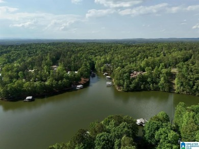 Lake Lot For Sale in Wedowee, Alabama
