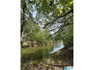 Check out this awesome opportunity to own a lakefront parcel in - photo 3