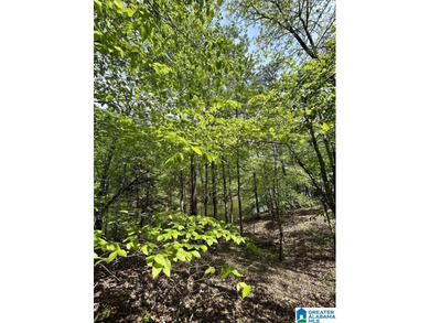 Check out this awesome opportunity to own a lakefront parcel in - photo 4