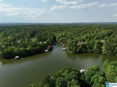 Check out this awesome opportunity to own a lakefront parcel in - photo 5