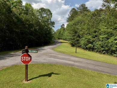 Check out this awesome opportunity to own a lakefront parcel in - photo 6