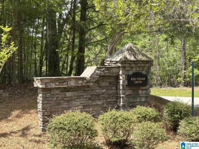 Check out this awesome opportunity to own a lakefront parcel in - photo 7