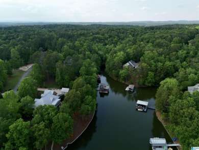 Lake Lot For Sale in Wedowee, Alabama