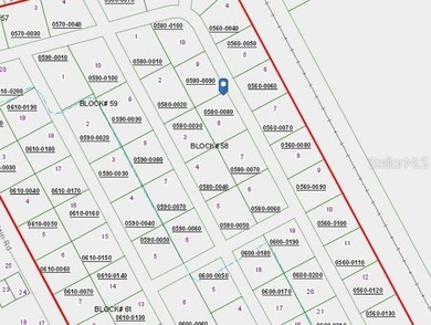 St. Johns River Lot For Sale in Satsuma Florida