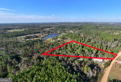 (private lake, pond, coastal) Acreage For Sale in Lyons Georgia