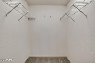 This beautiful, high-quality townhouse offers stunning Smoky - photo 22