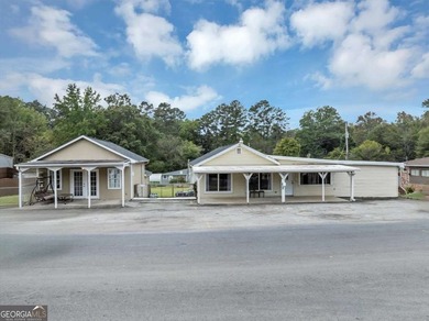 Located in the heart of downtown Acworth, this unique and - photo 1