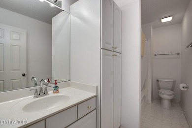 This beautiful, high-quality townhouse offers stunning Smoky - photo 34