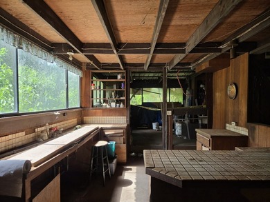 The home opens into the kitchen area, which is ready for - photo 3