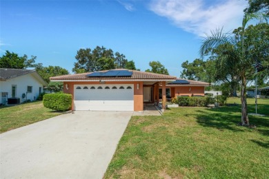 Lake Tarpon Home For Sale in Palm Harbor Florida