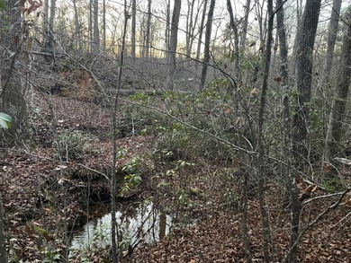 (private lake, pond, coastal) Lot For Sale in Mooresboro North Carolina