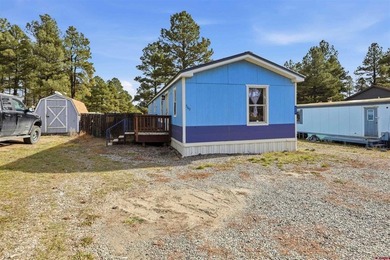 Lake Home Active Under Contract in Pagosa Springs, Colorado