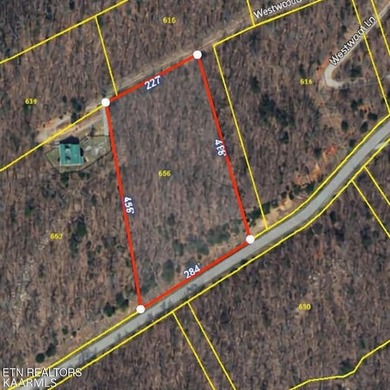 Norris Lake Acreage For Sale in New Tazewell Tennessee