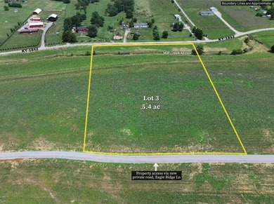 (private lake, pond, creek) Lot For Sale in Cynthiana Kentucky