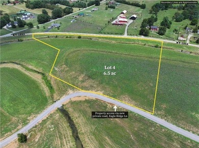 (private lake, pond, creek) Lot For Sale in Cynthiana Kentucky