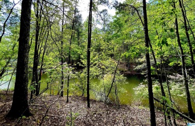 Lake Acreage For Sale in Wedowee, Alabama