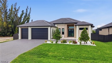 Experience luxury living at its finest in this stunning modern - photo 3