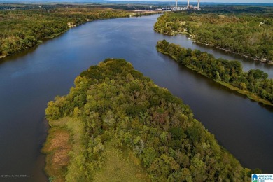 Lake Acreage For Sale in Wilsonville, Alabama