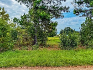 Lake Palestine Lot For Sale in Chandler Texas