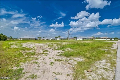 Large lot located in the heart of Cape Coral. Zoned multi family - photo 4
