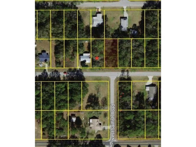 Bonable Lake Lot For Sale in Dunnellon Florida