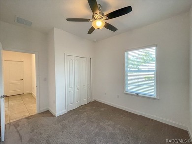 Move-in ready and situated on a desirable corner double lot - photo 25
