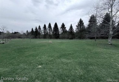 Unique home with tons of potential for really cool - photo 28