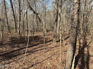 Discover this prime 1.7-acre wooded lot on Ash Place in the - photo 5