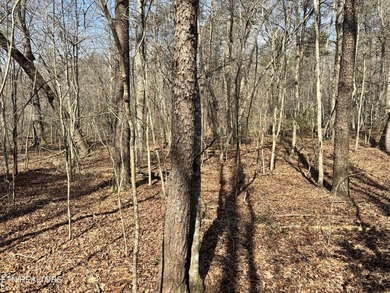 Discover this prime 1.7-acre wooded lot on Ash Place in the - photo 6