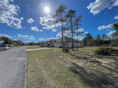 Move-in ready and situated on a desirable corner double lot - photo 36