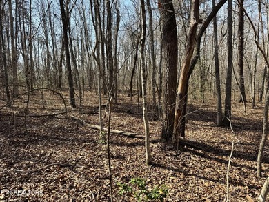 Discover this prime 1.7-acre wooded lot on Ash Place in the - photo 7