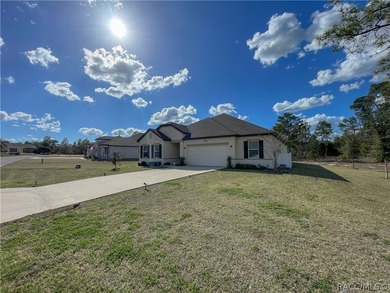 Move-in ready and situated on a desirable corner double lot - photo 37