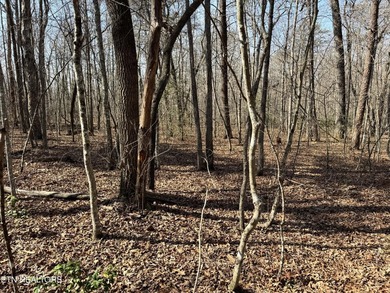 Discover this prime 1.7-acre wooded lot on Ash Place in the - photo 8