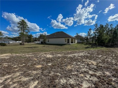 Move-in ready and situated on a desirable corner double lot - photo 38