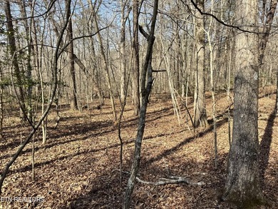 Discover this prime 1.7-acre wooded lot on Ash Place in the - photo 9