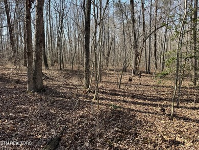Discover this prime 1.7-acre wooded lot on Ash Place in the - photo 10
