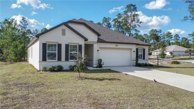 Move-in ready and situated on a desirable corner double lot - photo 40