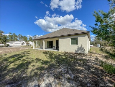 Move-in ready and situated on a desirable corner double lot - photo 43