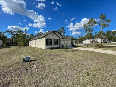 Move-in ready and situated on a desirable corner double lot - photo 45