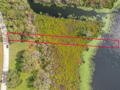 Lake Lot For Sale in Wesley Chapel, Florida