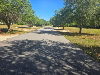 Lake Lot For Sale in Lake Wales, Florida