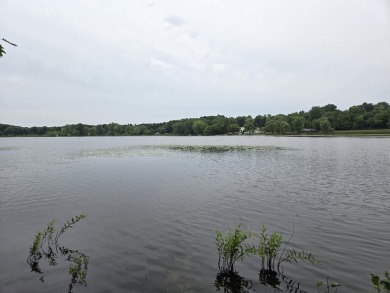 Lake Lot Sale Pending in Pleasant Lake, Michigan
