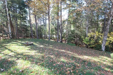 BEAVER MOUNTAIN LAKE - ONE OF THE BEST BUYS IN THE RANGELEY - photo 48