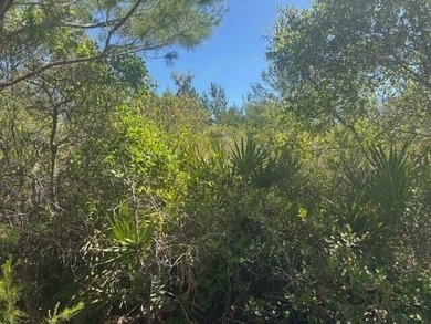 0.88 acres in the path of development. Owner Financing - photo 3