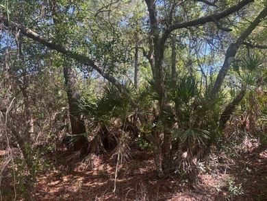 0.88 acres in the path of development. Owner Financing - photo 4