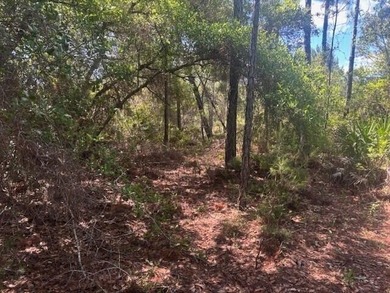 0.88 acres in the path of development. Owner Financing - photo 5